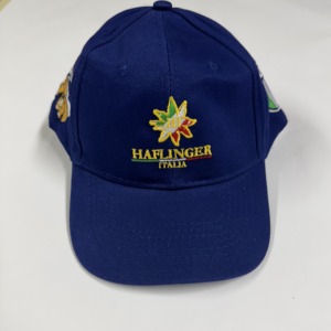 Cappellino Blu-Navy 2025 (Copia)