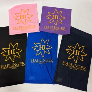 SCALDACOLLO HAFLINGER