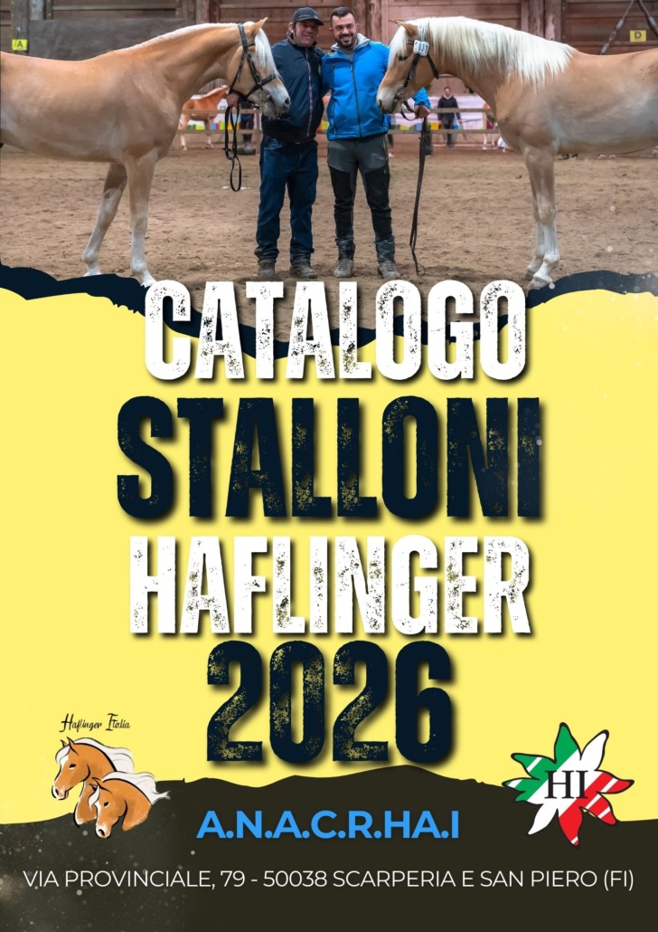 CATALOGO copertina stalloni